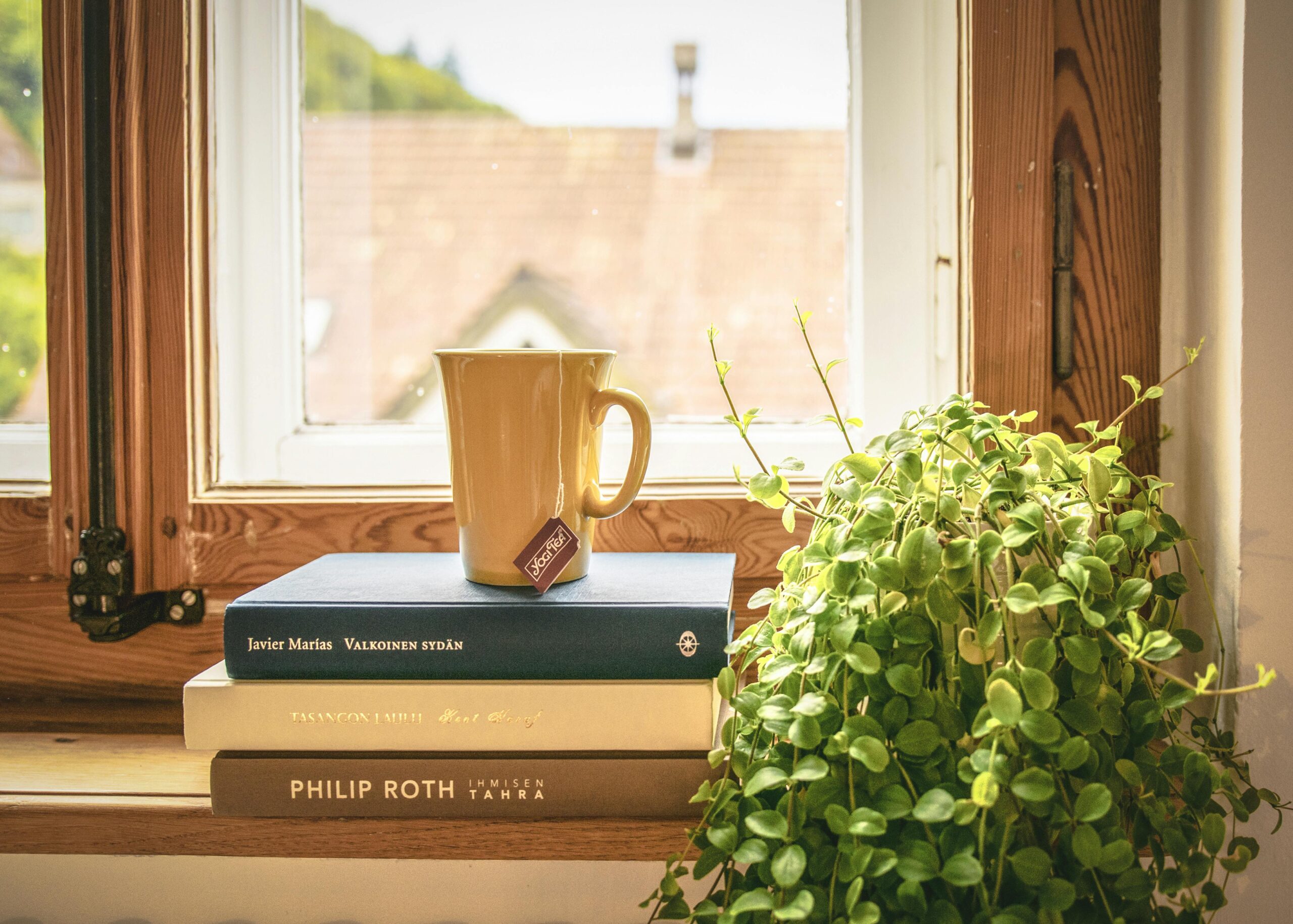 A warm scene featuring a mug and books by a sunny window, perfect for relaxation and reading.
